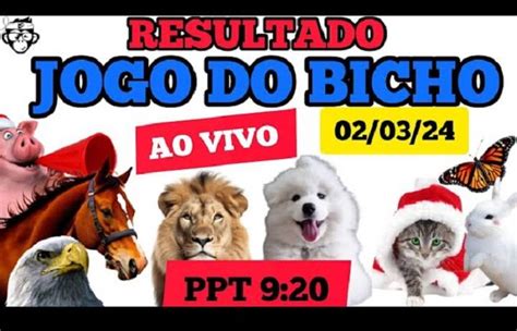 resulto paraíba jogam do bichito